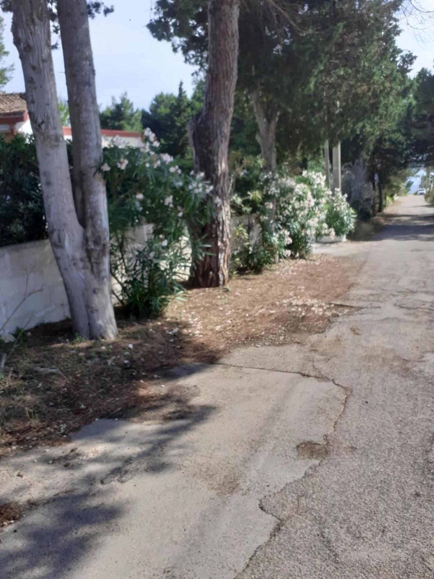 Villetta Dei Fiori, Vicino Spiaggia Di Punta Pizzo Gallipoli Exterior foto